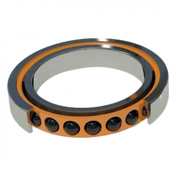 Barden 7602025TVP Precision Tapered Roller Bearings #1 image